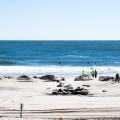 What is the Average Wave Height at Beaches in Northwest Florida During Summer Months?